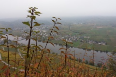 20191110_135131